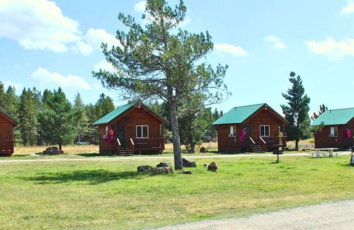 Last Chance Cabin | Cozy Mini-Cabin Surrounded by Nature's Beauty!