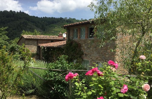 Poggio Alla Croce House | Chianti, only 18 km from Florence, vineyard, olives groves, wildlifenGreat view