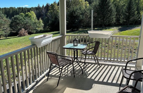 Richmondville House | Cozy New Family-friendly Two Bedroom Home on 90 Tranquil Acres in Richmondville