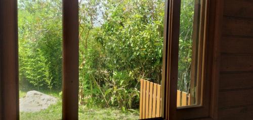 Rio Vermelho Sul House | Canto dos pássaros