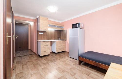 Loucna Pod Klinovcem House | Apartmány Klínovec - Penzion Jonas
