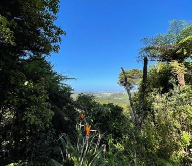 Swanson Bed & Breakfast | Swanson-Waitakere Stay in Scenic Sunrise