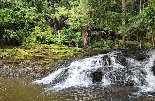 Hot Tub overlooking a waterfall, near beaches, vineyards, Matakana, Brick Bay