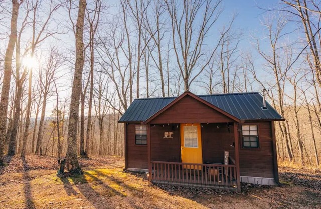 Cozy Tiny Cabin Getaway w/ Views