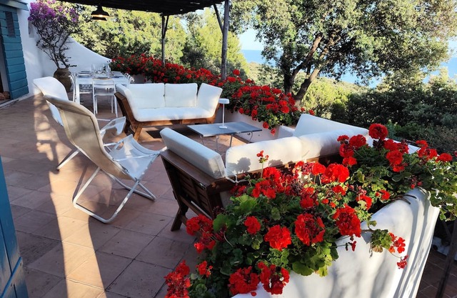 A Michele Busiri's villa facing the Pontine Islands in the mediterranean woods.