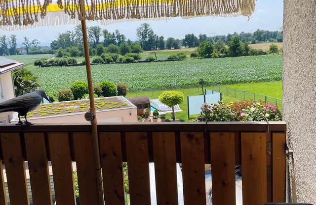 Cozy apartment with a great view of the countryside and some extras