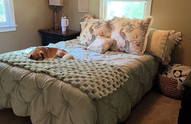 Cute cottage in Pawleys with 2 queen beds and 2 full baths that allow pets!