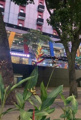 Rasyadarkaapartment