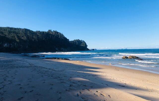 Onemana House | Ohana 'family' Beach Escape, Onemana - Coromandel