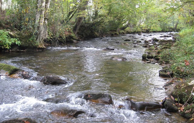 Hayesville Cabin | Blackwell Branch Cabin on rushing Tusquittee Creek