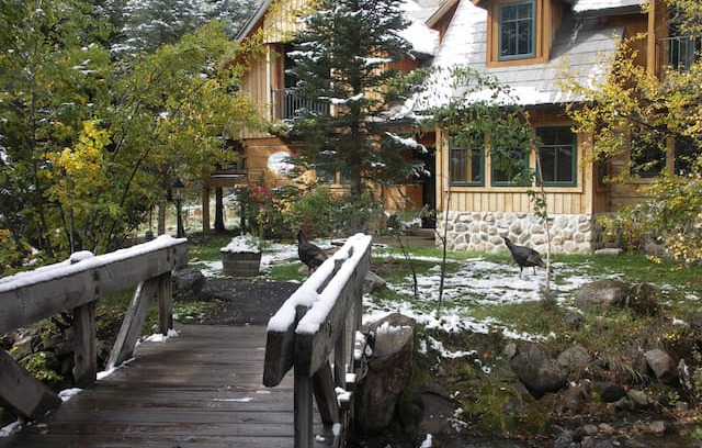 Sundance Cabin | FAIRY TALE COTTAGE SUITE ON SUNDANCE CREEK