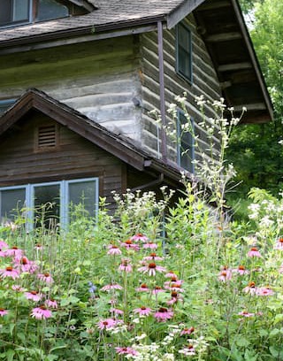 Decorah Cabin | Fern Hollow Cabin in Lush NE Iowa