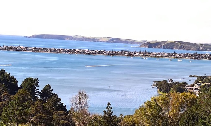 Whangateau Cabin | Pine Tree Cottage Matakana