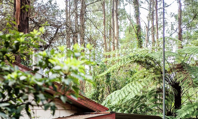 Mount Dandenong Cottage | Spa Cottage in 7 acre Rain Forest Paradise