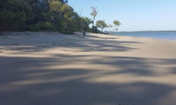 Brisbane Waterfront House | Pet and Family Friendly Peaceful Island W'front home, crabbing, kayaking, bikes