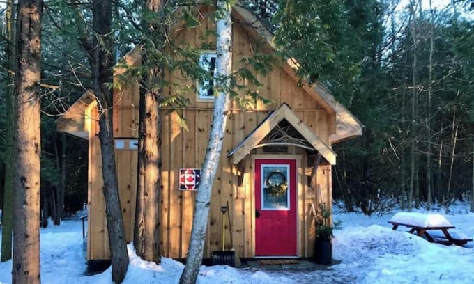 North Grenville Cabin | Cabin in the Forest