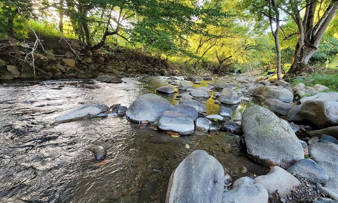 Del Rio Cabin | Enjoy Mother Nature and Spring at The Spot!