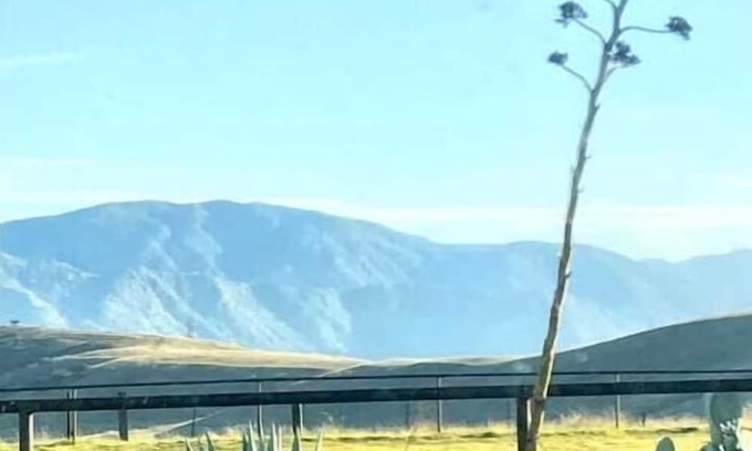 Banning Cabin | Tiny Home, Big Views