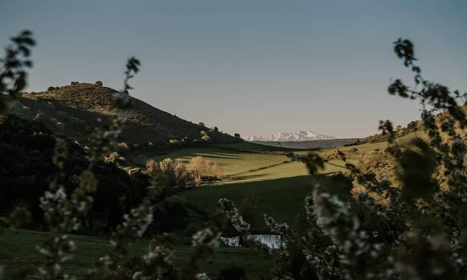 Palairac House | Gîte à la Ferme de Couise