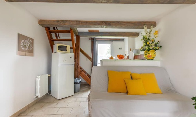 Lassay-sur-Croisne House | Nigaudière estate: Le Joncs - Beauval & Castle