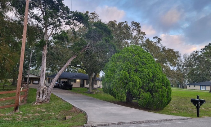 Alvin House | A peaceful guesthouse that is close to everything but feels miles away!