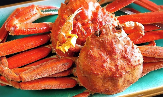 Sakai Hotel | 1 night 2 meals included Full of seafood A lux/Sakai Fukui