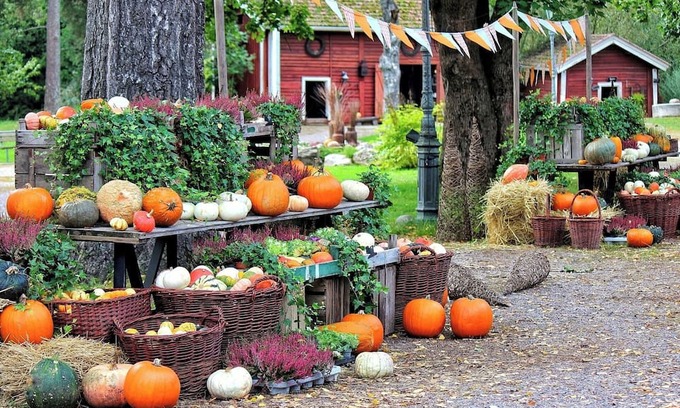 Ina House | Limited Time Offer Happy Halloween AllInclusiv/Ina Nagano