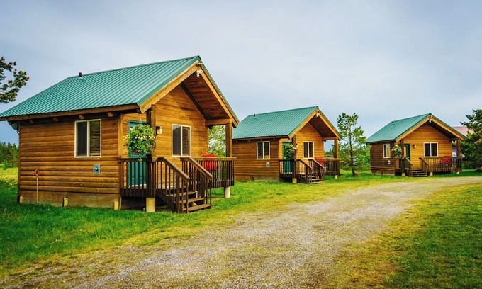 Last Chance Cabin | Cozy Mini-Cabin Surrounded by Nature's Beauty!